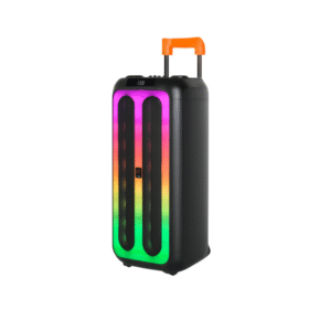 V-2840 Dual 8-Inch Bluetooth Party Speaker