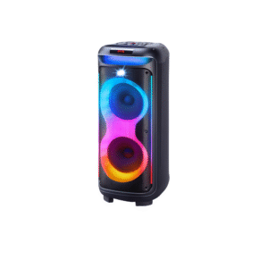 V-1175 Double 10-Inch Bluetooth Party Speaker
