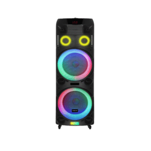 V-1190 Dual 10-Inch Bluetooth Party Speaker