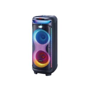 VOVO V-1175 Double 10-Inch Portable Bluetooth Party Speaker (100W) with RGB Lights, 12V 9AH Battery, and Wireless Mic
