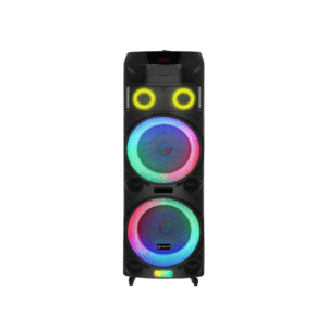 V-1190 Dual 10-Inch Bluetooth Party Speaker