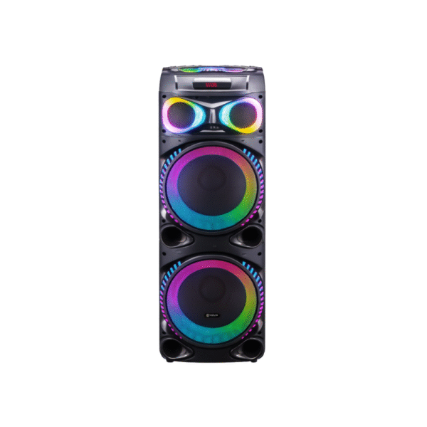 V-1210 Double 12-Inch Bluetooth Party Speaker