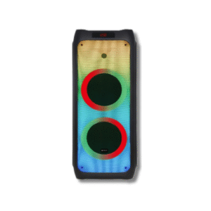 V-1165 Double 10-Inch Party Speaker