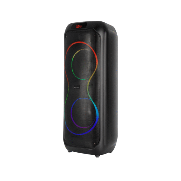 V-2810 Dual 8-Inch Bluetooth Speaker | Portable 20W Speaker with LED Lights & Mic