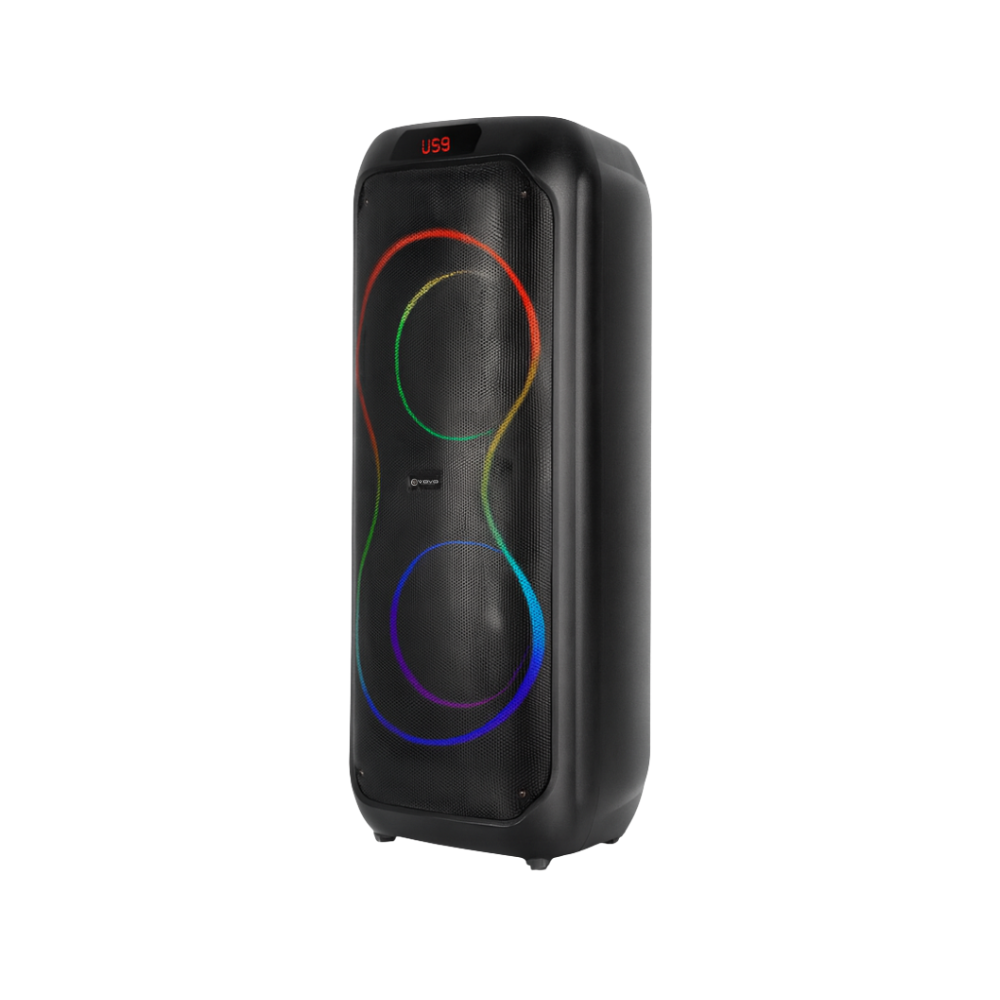 V-2810 Dual 8-Inch Bluetooth Speaker | Portable 20W Speaker with LED Lights & Mic