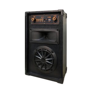 Gamma GT-450 Bluetooth Multimedia Speaker System | 4-Inch Subwoofer | USB/SD/MMC/Remote Control