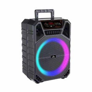 GT-1298 Portable 12-Inch Bluetooth Party Speaker with 2400mAh Rechargeable Battery